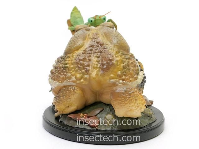 新！【動物の惑星ジオラマシリーズ】第五弾 初回限定カマキリ付属