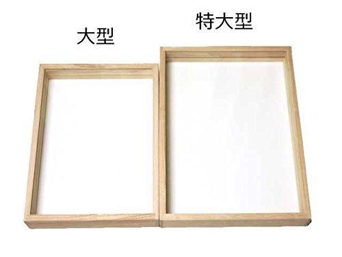 insectech 桐製ガラス蓋標本箱【特大型】 - 昆虫採集・昆虫標本