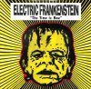 ELECTIC FRANKENSTEIN / Time Is Now(LP)
