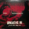 BREATHE IN / From This Day On(LP)
