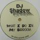 DJ SHADOW / What I Do My Bedroom(12