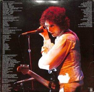 BOB DYLAN / At Budokan(LP) - レコード買取＆販売のだるまや