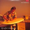 NED DOHENY / Life After Romance(LP)