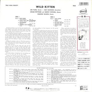 JOE PUMA / Wild Kitten(LP) - レコード買取＆販売のだるまや