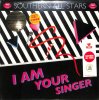   : Southern All Stars / I Am Your Singer(12