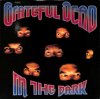 GRATEFUL DEAD / In The Dark(LP)