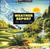 WEATHER REPORT / The Collection(LP)