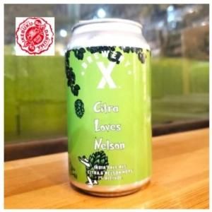 サッポロ 新ジャンル LEVEL9 レベルナイン 贅沢ストロング 350ml