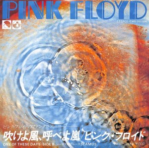 PINK FLOYD / One Of These Days / Seamus(7