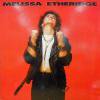 MELISSA ETHERIDGE / Melissa Etheridge(LP)