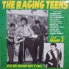 V.A. / The Raging Teens Vol. 3(LP)