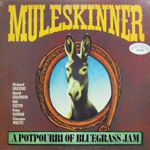 MULESKINNER / Muleskiner(LP) - レコード買取＆販売のだるまや