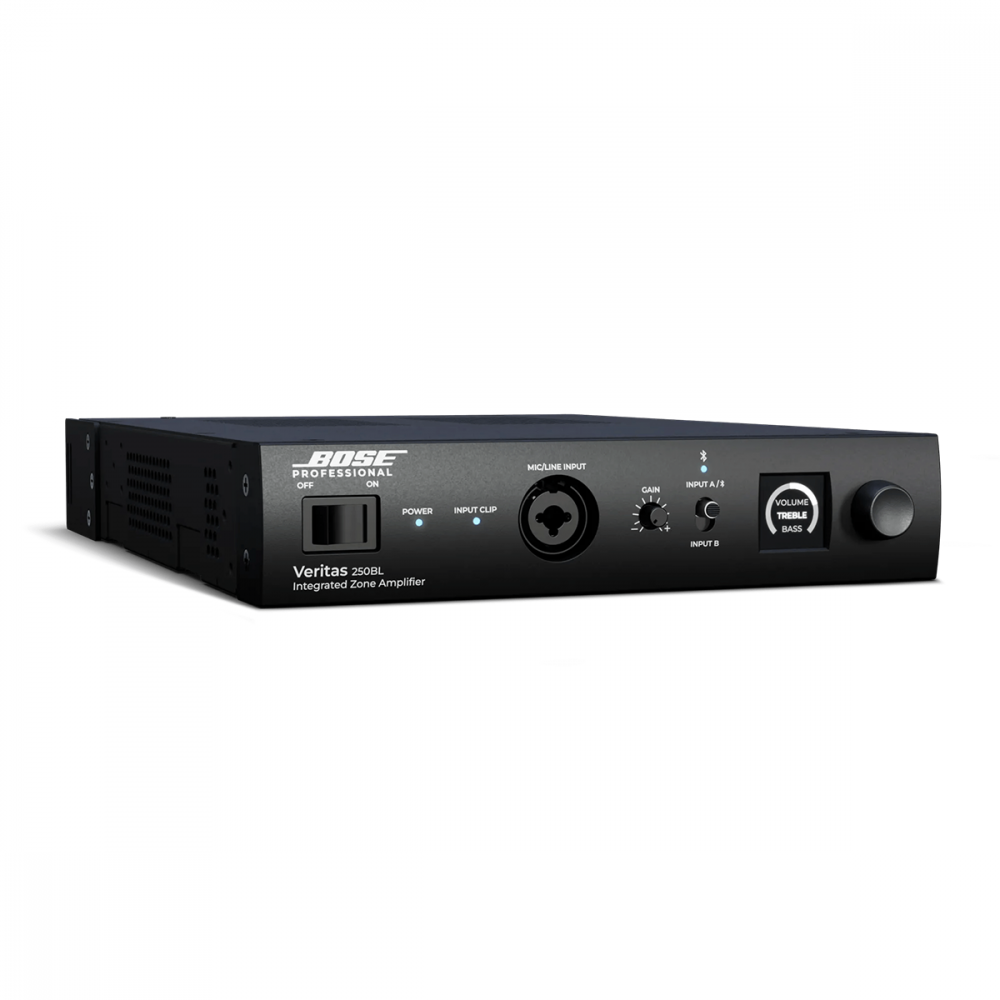 ͽʡBOSE Veritas 250BL