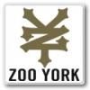 ZOO YORK 衼(ϡɥ)