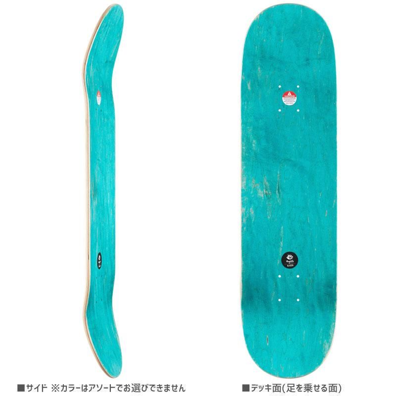 MAGENTA デッキ MAGENTA】Shogo Zama DOJO BOARD 8.125インチ マジェンタ 座間