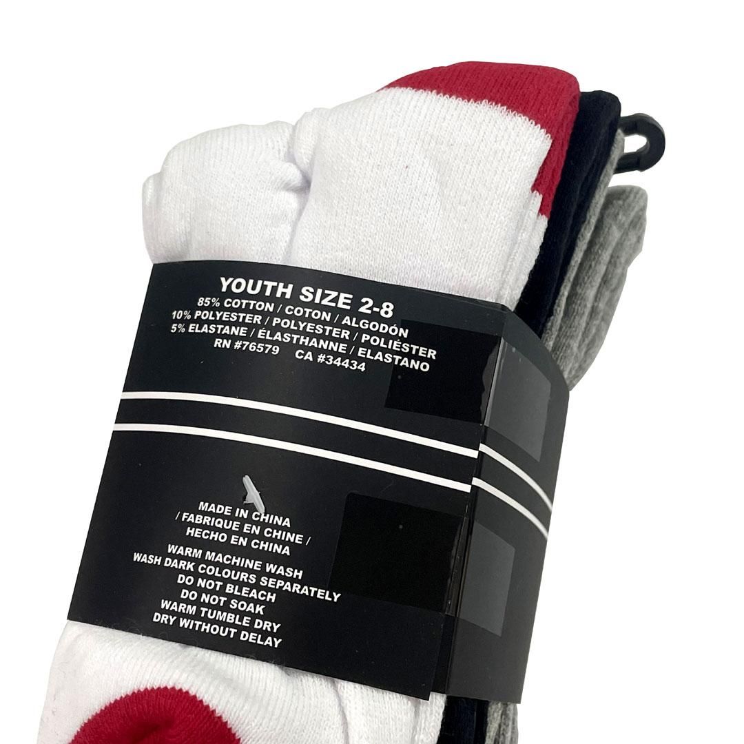 SANTA CRUZ CRUZ CREW SOCKS YOUTH 4 NO39 santa-cruz-cruz-crew-socks-youth-4-no39
