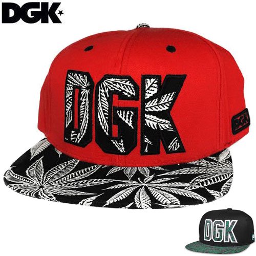 ڥǥ DGK ܡåסHOME GROWN SNAPBACK CAP2顼NO54