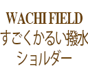 դ 뤤2WAYХåB