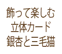 äƳڤΩΥɡڶɤȻǭ