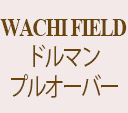 ǭΥ ɥޥץ륪СF۲/