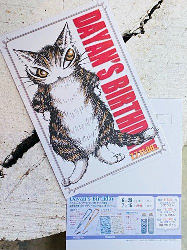 ☆Dayan's Birthday☆ - 猫雑貨・猫グッズ 猫的生活百貨店けいと屋ニコル