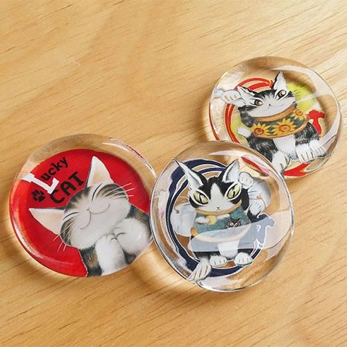 ǭå,ǭ,դ ,WACHIFIELD,ǭΥ󥰥å饤,Wachifield