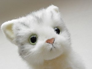 日本製の子猫ぬいぐるみ おすわりサバトラ白猫 猫雑貨 猫グッズ専門通販 猫的生活百貨店 けいと屋ニコル