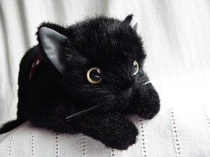 日本製のぬいぐるみL【黒猫】 - 猫雑貨・猫グッズ専門通販 猫的生活 ...