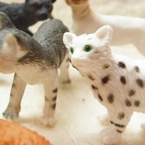 【中古】 ねこぷに １１（猫とまったり号）/メディアックス 11ぴきのねこ】 とことこくらぶ 11ぴきのねこ ブルー/トラネコ