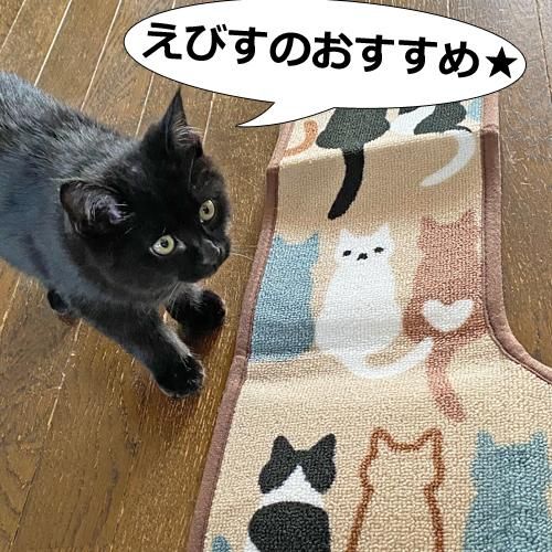 耳長トイレマット にゃんこライン 猫雑貨 猫グッズ専門通販 猫的生活百貨店 けいと屋ニコル