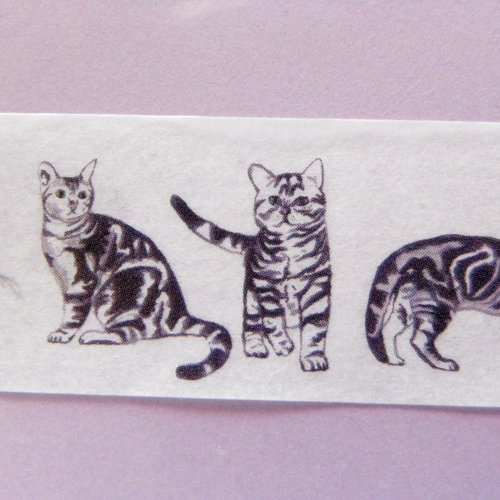 SAIEN マスキングテープ【アメリカンショートヘア】ホワイト系 - 猫