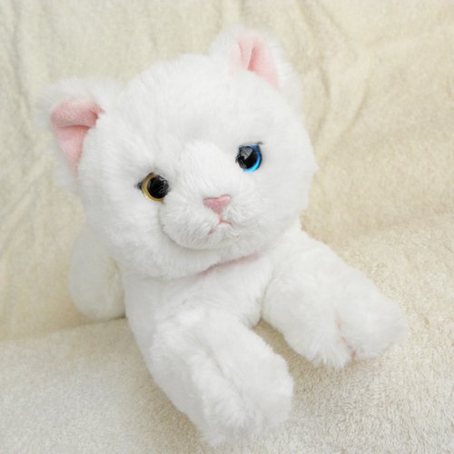 ひざねこ 白猫 Ssサイズ 猫雑貨 猫グッズ専門通販 猫的生活百貨店 けいと屋ニコル