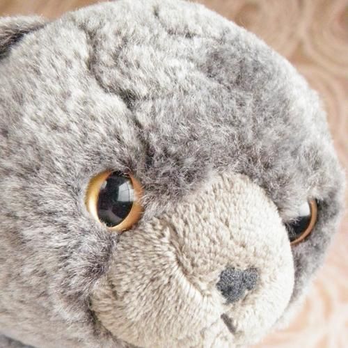 ひざねこ【スコティッシュフォールド】グレイ - 猫雑貨・猫