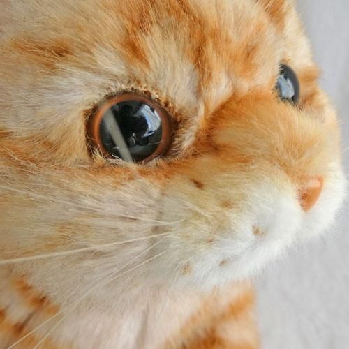 なでなでねこちゃんEX【茶とら猫】 - 猫雑貨・猫グッズ 猫的生活
