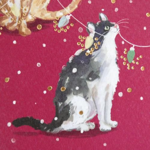 輸入クリスマスカード【5匹の猫とクリスマスの飾り】 - 猫雑貨 輸入クリスマスカード【5匹の猫とクリスマスの飾り】 - 猫雑貨