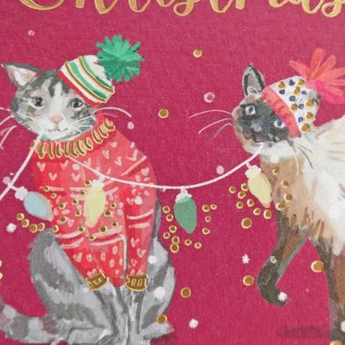 輸入クリスマスカード【5匹の猫とクリスマスの飾り】 - 猫雑貨 輸入クリスマスカード【5匹の猫とクリスマスの飾り】 - 猫雑貨