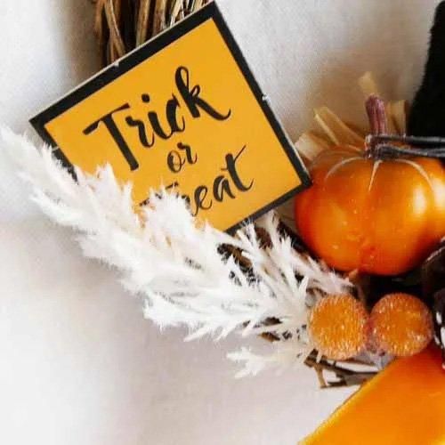 猫のいたずら⁈^._.^ ハロウィン☦︎︎リース 猫ちゃんのハロウィンリース L オレンジ | iichi 日々の暮らしを