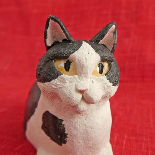 2025年・巳猫【ん? とうずくまる猫】～正木卓～ ハチワレ猫×巳(銀色