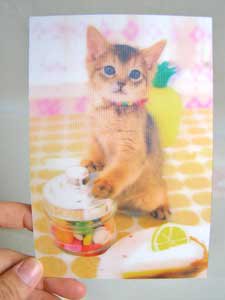 3dポストカード アビシニアン 猫雑貨 猫グッズ専門通販 猫的生活百貨店 けいと屋ニコル