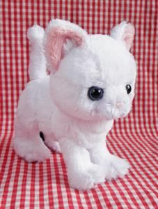 オッドアイ♡真っ白子猫ちゃん♡アートドール♡ぬいぐるみ♡ オッドアイ♡真っ白子猫ちゃん♡アートドール♡ぬいぐるみ♡ ねこ雑貨