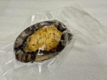 <img class='new_mark_img1' src='https://img.shop-pro.jp/img/new/icons25.gif' style='border:none;display:inline;margin:0px;padding:0px;width:auto;' />¼ढ1kgå