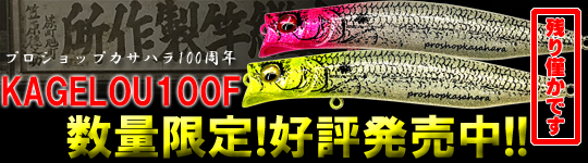 ⭐️新品⭐️ 22サハラ　2500 釣具　シーバス　バス　エギング　フカセ　ルアー ⭐️新品⭐️ 22サハラ 2500 釣具 シーバス バス エギング
