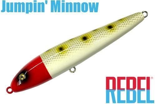 ルアー＆フライ専門店 プロショップカサハラ