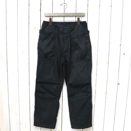 SASSAFRASOVERGROWN HIKER PANTS(C/N OXFORD)(BLACK)