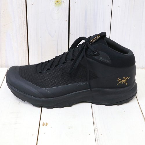 Arc'teryx › エアリオス FL 2靴