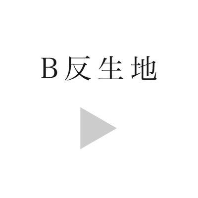 Bȿindex<img class='new_mark_img2' src='https://img.shop-pro.jp/img/new/icons16.gif' style='border:none;display:inline;margin:0px;padding:0px;width:auto;' />