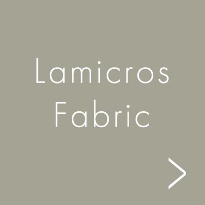 index_promotion_lamicros