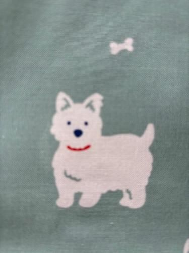 <img class='new_mark_img1' src='https://img.shop-pro.jp/img/new/icons1.gif' style='border:none;display:inline;margin:0px;padding:0px;width:auto;' />ڥۥ磻ȥϥɥƥꥢۥɥåޥå