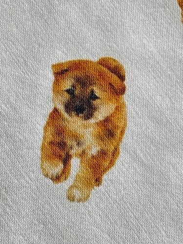 <img class='new_mark_img1' src='https://img.shop-pro.jp/img/new/icons1.gif' style='border:none;display:inline;margin:0px;padding:0px;width:auto;' />ɥåޥåȡ٥ӡɥåƸ