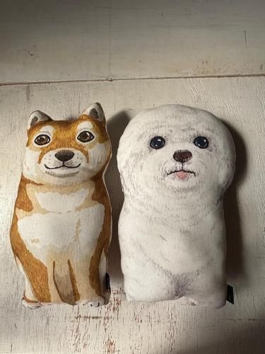 <img class='new_mark_img1' src='https://img.shop-pro.jp/img/new/icons1.gif' style='border:none;display:inline;margin:0px;padding:0px;width:auto;' />ڸǭۥå󡦤̤